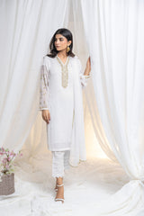 Untouched elegance: Hand-embroidered white chiffon, a canvas of pure sophistication.